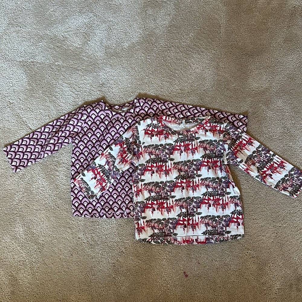 Set of 2 Kate Quinn long sleeve TShirts organic cotton 2T
